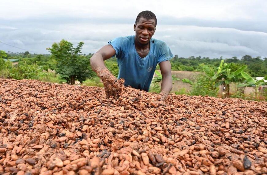 DO NOT REUSE grist chocolate expensive